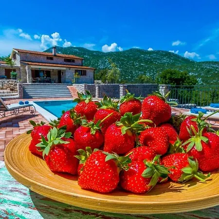 Holiday home Rusti - With Pool *